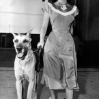 Elizabeth Taylor goes for a walk with her pet dog