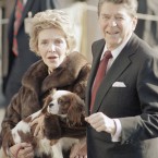 Nancy and Ronald Reagan with an early Christmas present in December 1985, a King Charles spaniel described as