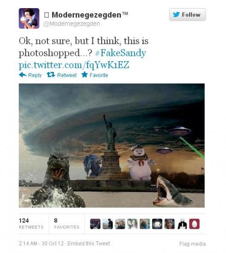 fakesandy4