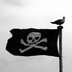 Where? Baltimore, Co Cork When? 29 June to 1 July What's on? Baltimore is transformed into a pirate village for the festival and will host a treasure hunt, pirate ship, fancy dress events, trips to the islands, and games. www.baltimore.ie/festivals (Image: fdecomite on Flickr/Creative Commons)